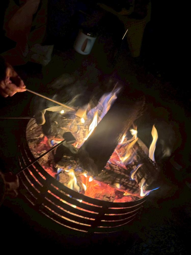 焚き火を見つめる夜